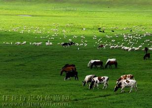 “蒙晉探秘”草原游學(xué)夏令營雙臥8日